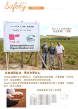 將圖片載入圖庫檢視器 黑豆元氣南非國寶茶/博士茶, 100個入 (Tealife - 日本製健康茶)